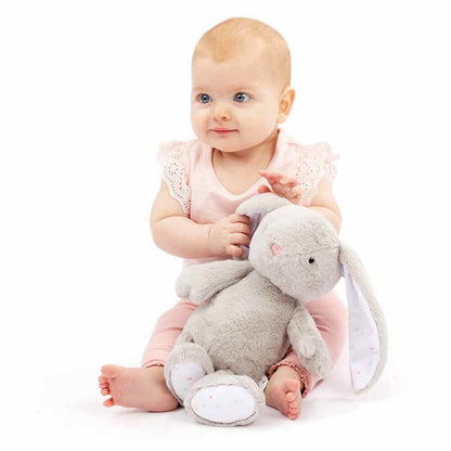 Grey Bunny