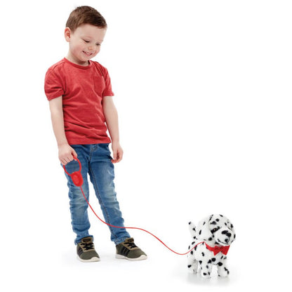 Pitter Patter Pets Walk Along Dalmatian