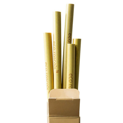 Bamboo Straws 5pk